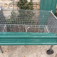 Gabbie per galline e polletti