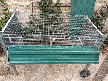 Gabbie per galline e polletti