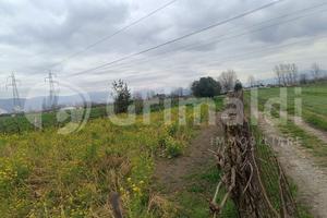 Terreno Agricolo Brusciano [Cod. rif 3297366VCG]