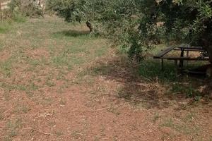 terreno agricolo 