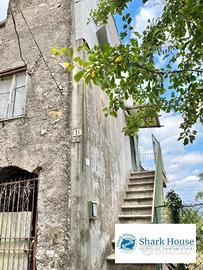 Indipendente con terreno