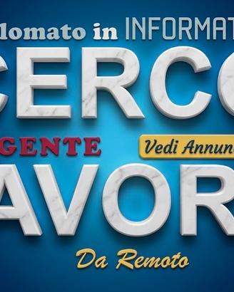DaRemoto:Data Entry & Management - C.Bozze - Video