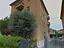 Immagine 12