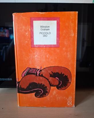 Piccolo dio di Winston Graham