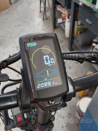 bici elettrica 