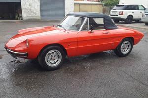 Alfa Romeo Duetto Osso di Seppia
