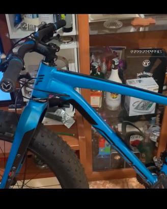 Fat Bike per uomo