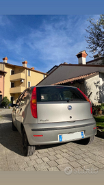 Fiat Punto 1.2 5 porte Active - NEOPATENTATI