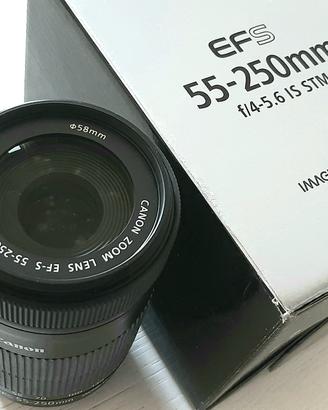 Canon EF-S 55-250 f/4-5.6 IS STM