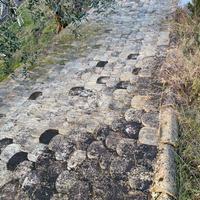 Tegole a coda di castoro originali vecchi