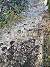 Tegole a coda di castoro originali vecchi