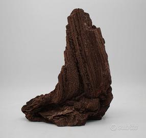 legno fossile permineralizzato