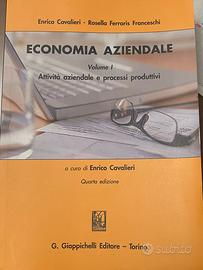 Economia Aziendale Volume I Cavalieri