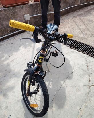 Bici atala