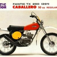 Fantic motor  fianchetti 290