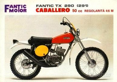 Fantic motor  fianchetti 290
