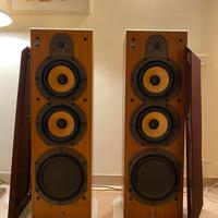 B&W DM3000 Casse Acustiche Professionali