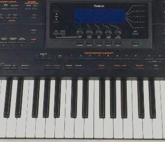 Roland g800