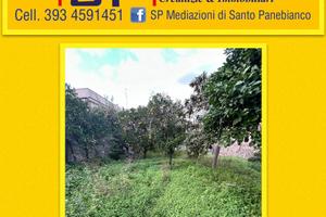 Edificabile Centrale