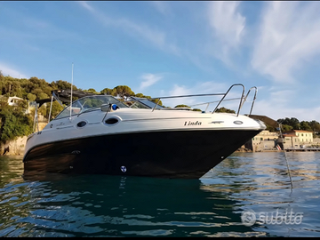 Sea Ray 255 motore mercruiser day cruiser