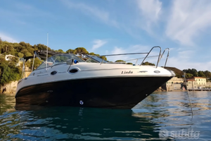 Sea Ray 255 motore mercruiser day cruiser