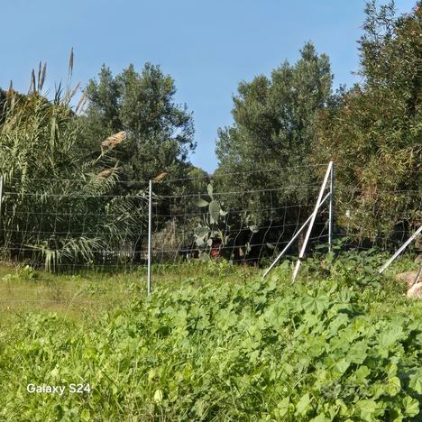 Terreno con potenzialita