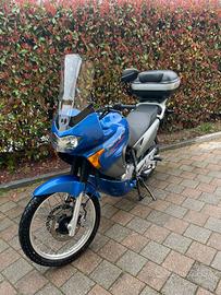 Honda Transalp XL 650 V – Tagliandata, gomme nuove