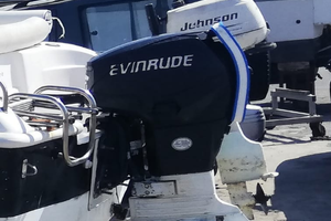 Motore Evinrude