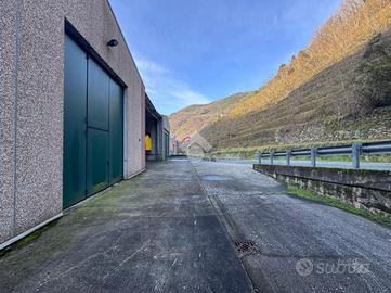 CAPANNONE A MEZZANEGO