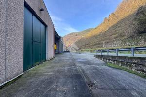 CAPANNONE A MEZZANEGO