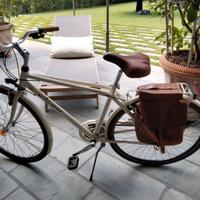 bicicletta Alpina Classic