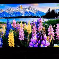 TV MIIA 24 POLLICI  DVB T2 INTEGRATO