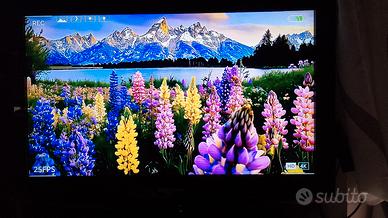 TV MIIA 24 POLLICI  DVB T2 INTEGRATO