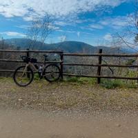 bici gravel carbonio