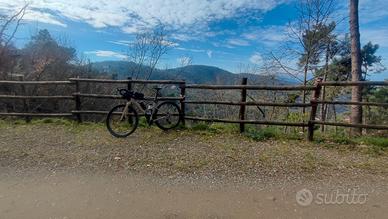 bici gravel carbonio