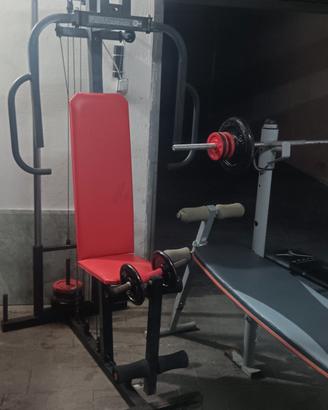 palestra completa 