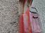Immagine 5