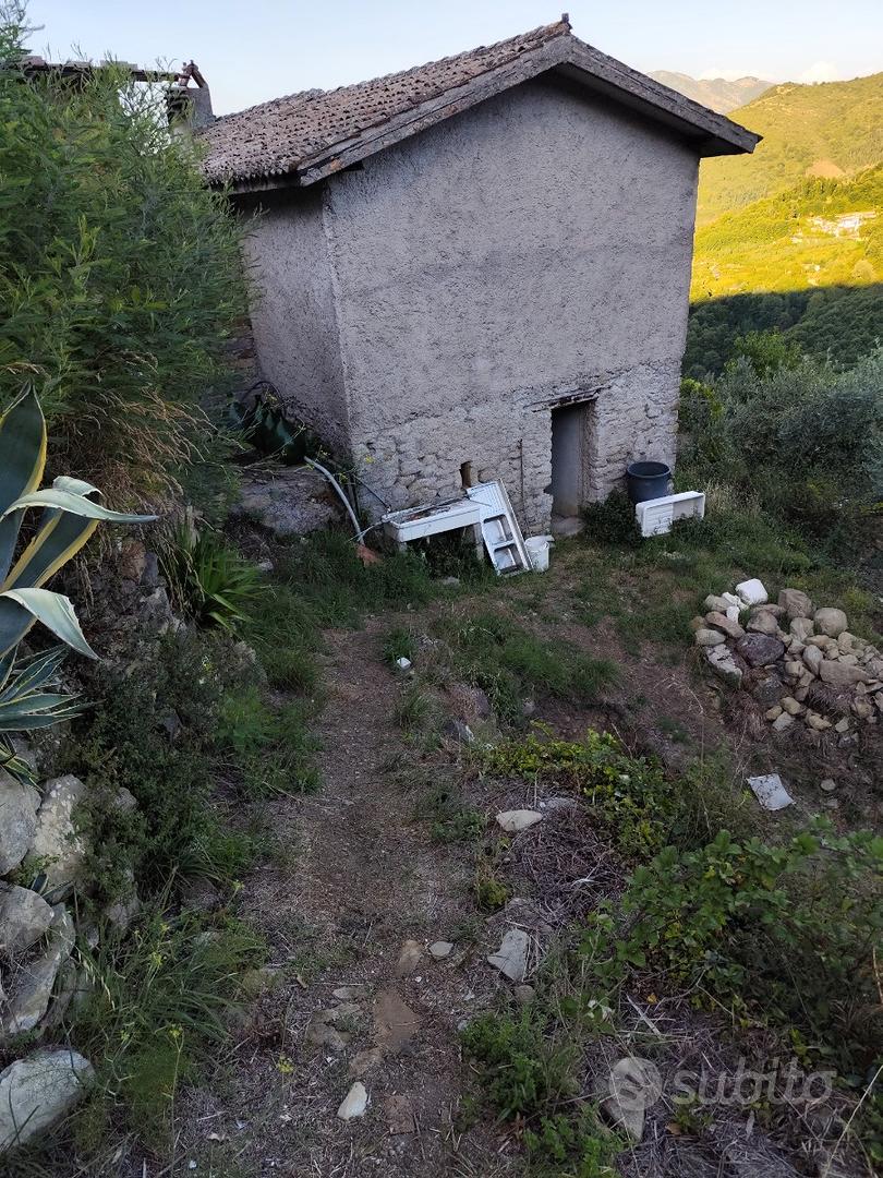 Rustico con terreno 8000 mq - Vista 3