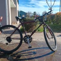 bicicletta Mountain bike 