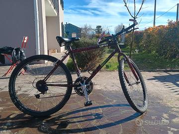 bicicletta Mountain bike 