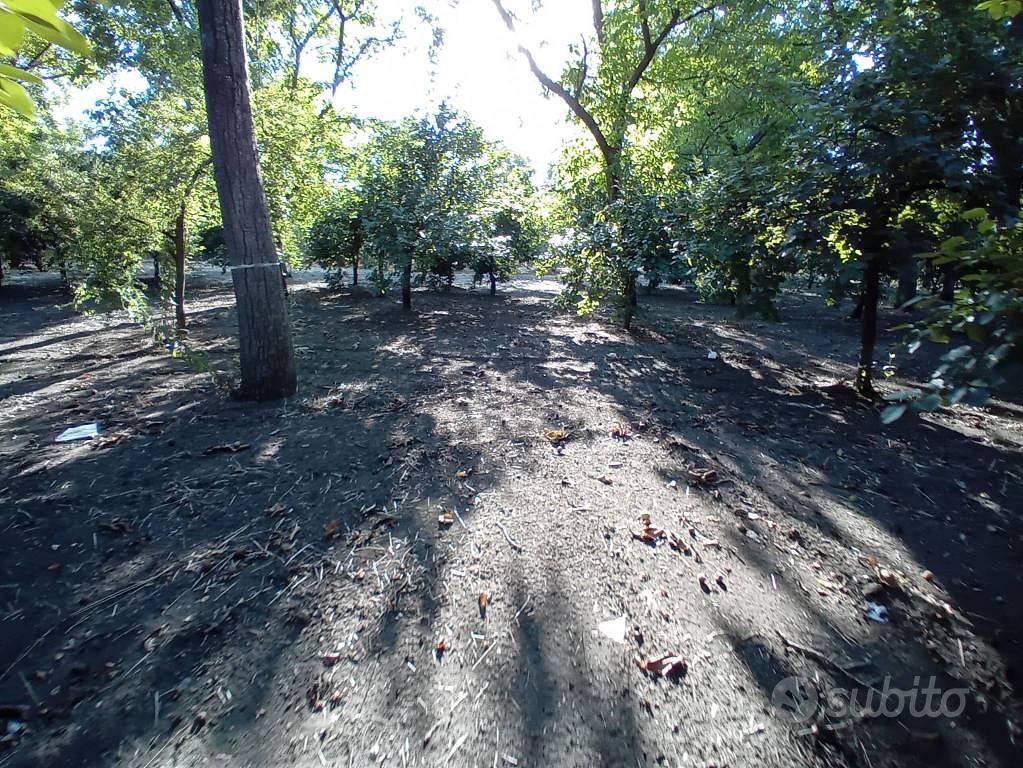 Terreno di 3537 m² a San Gennaro Vesuviano - Vista 3