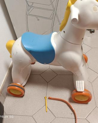 cavallino chicco