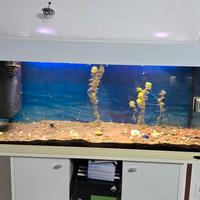 Acquario dubai 100 LED - 190 L