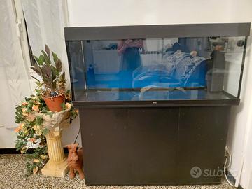 Acquario Juwel 240 litri