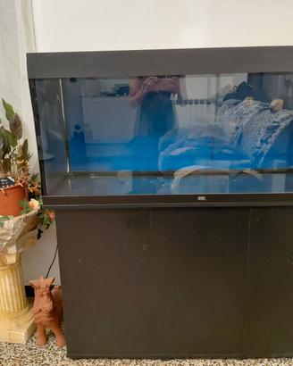 Acquario Juwel 240 litri