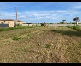 Terreno agricolo/artigianale 2900mq a Nettuno