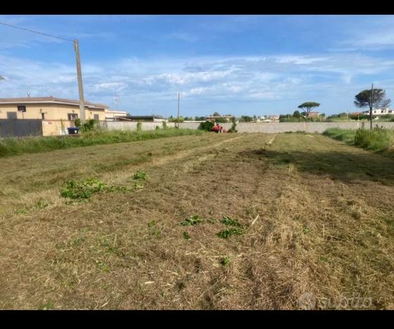 Terreno agricolo/artigianale a Nettuno