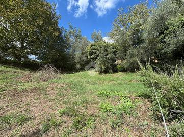 TER. RESIDENZIALE A CASTELNUOVO DI PORTO