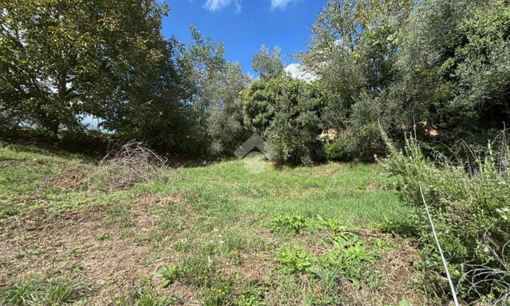 TER. RESIDENZIALE A CASTELNUOVO DI PORTO