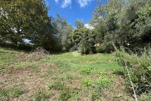 TER. RESIDENZIALE A CASTELNUOVO DI PORTO